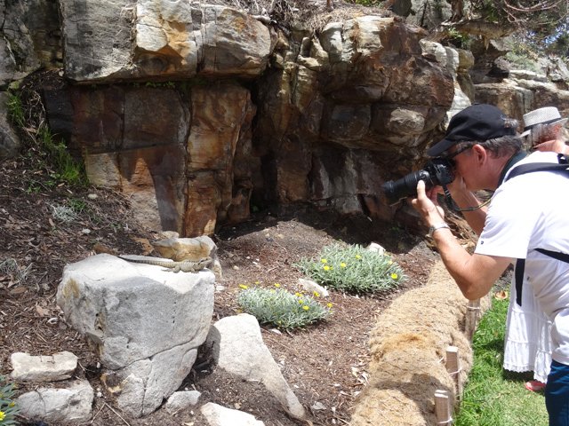 Le dragon des mers (Dragon sea) occupe tous les rochers du parc