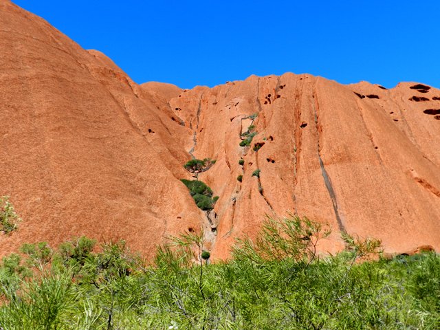Quelques arbres ont réussi à s'accrocher à la roche
