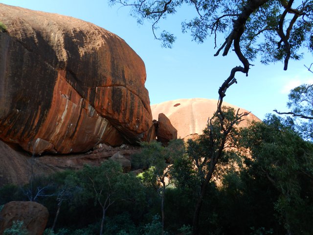 Une des rares parties à l'ombre, mais pas à l'abri des mouches