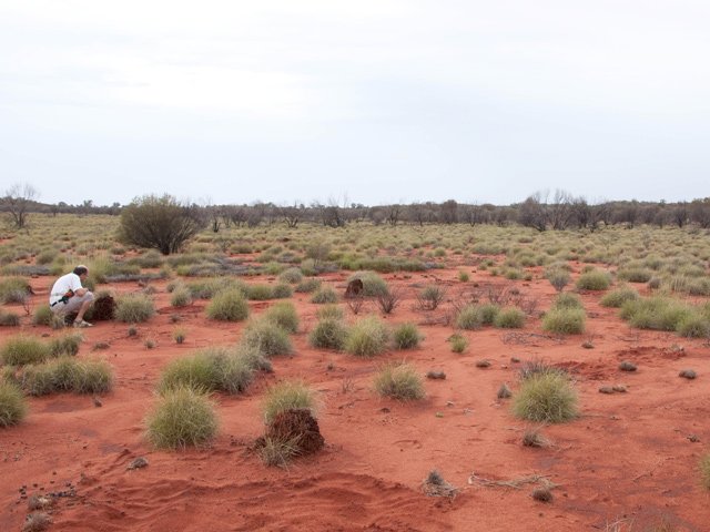 A moins de 100 m du roc, le terrain est plat comme un terrain de football
