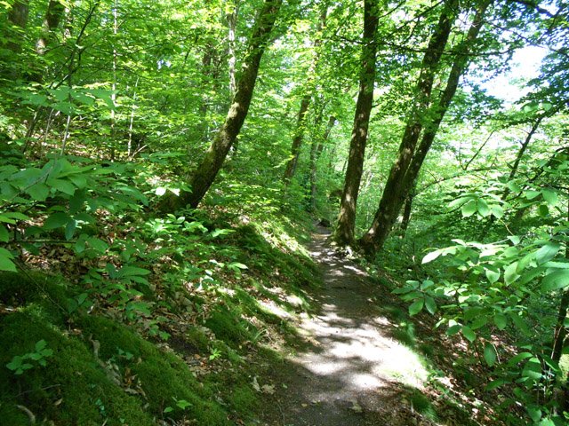 Une idée du sentier qui domine la rivière