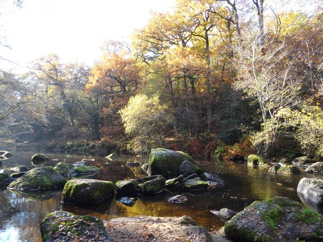 Un autre lieu prisé du peintre