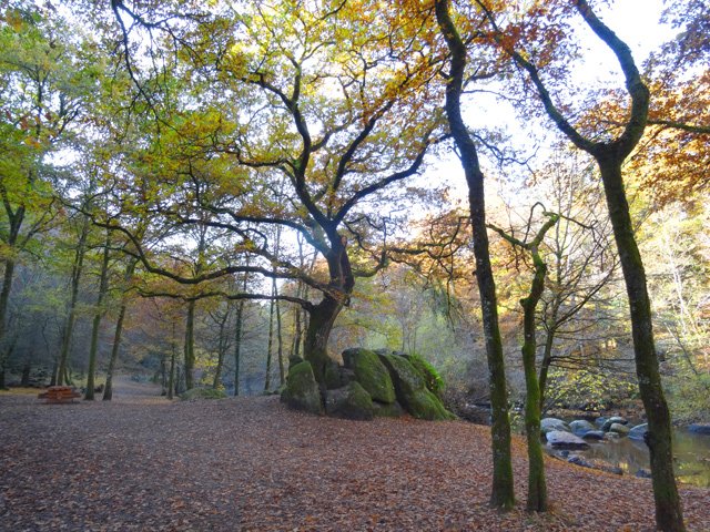 Un endroit charmant autour des tables de pique-nique