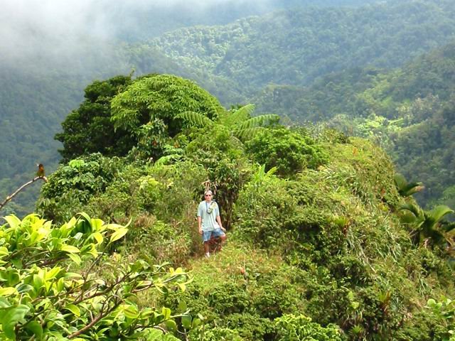 Une portion du sentier dans la végétation