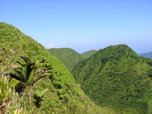 On appelle ici mornes les pitons de la Martinique