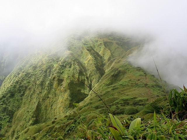 Petite descente avant la montée en direction du Piton Lacroix