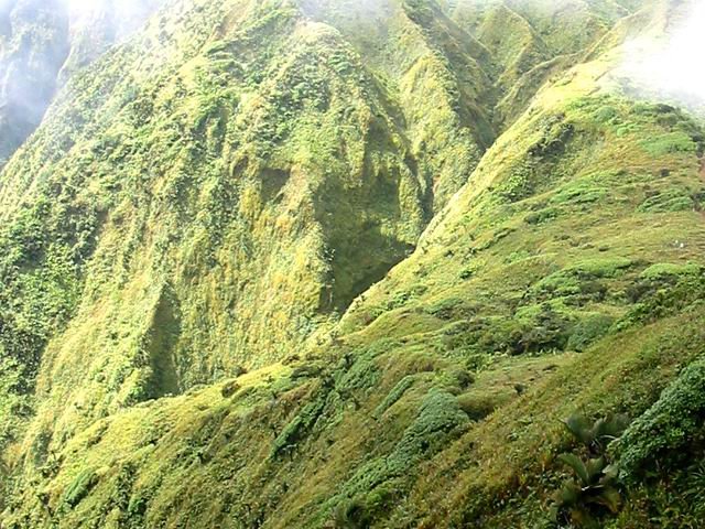 Vue depuis le sommet du Piton Boucher