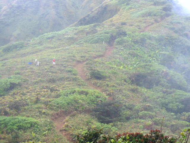 On distingue tout de même bien le sentier
