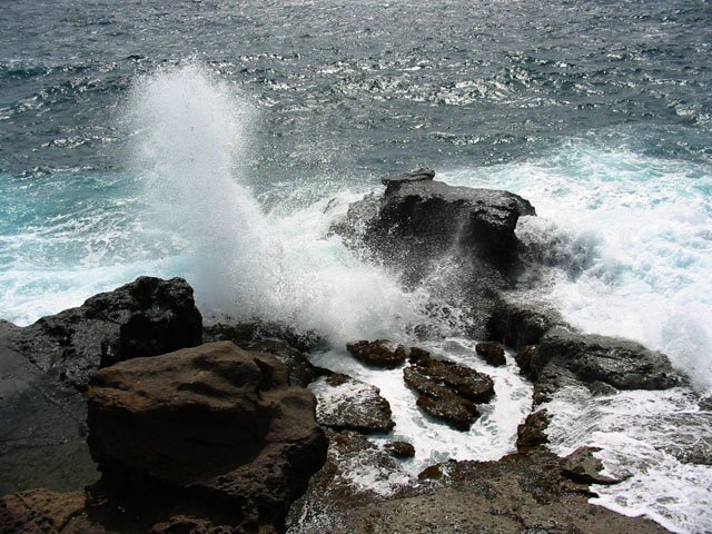Un souffleur sortant bruyamment de son trou dans le rocher