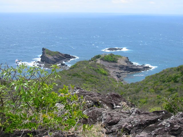Il n'est pas toujours facile de s'approcher du bord à cause de la végétation
