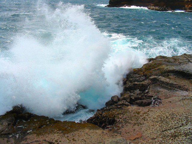 Certaines peuvent être dangereuses par vent fort