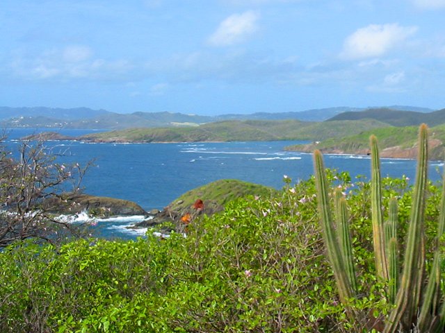 Avant de descendre vers la Baie du Trésor, profiter des panoramas
