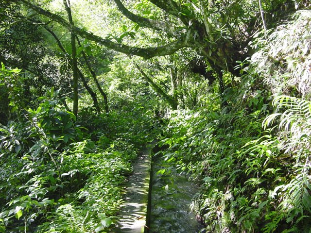 La deuxième partie est beaucoup plus verdoyante et bordée de forêts