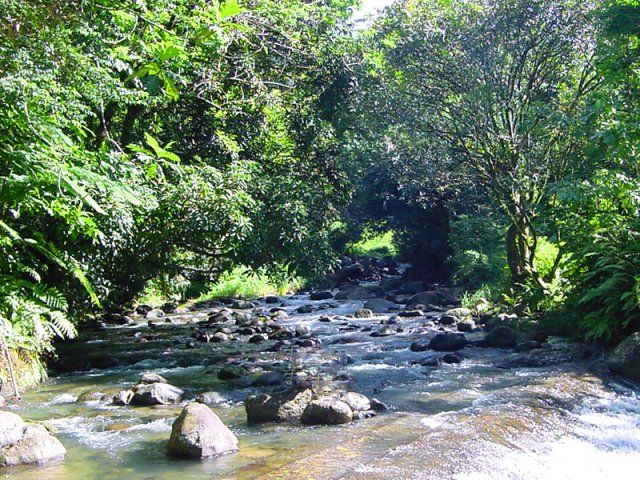 La Rivière du Carbet à la prise d'eau