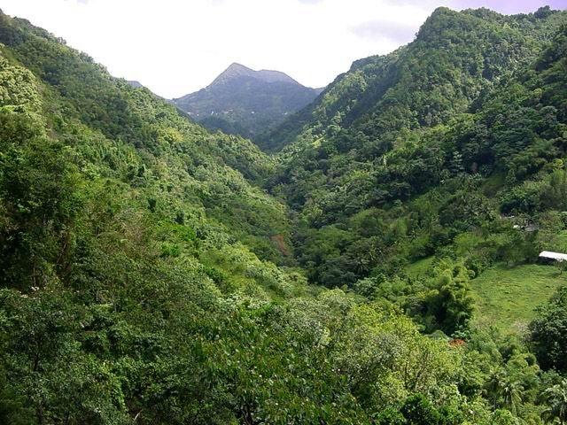 Vue sur la vallée de la Ravine du Carbet