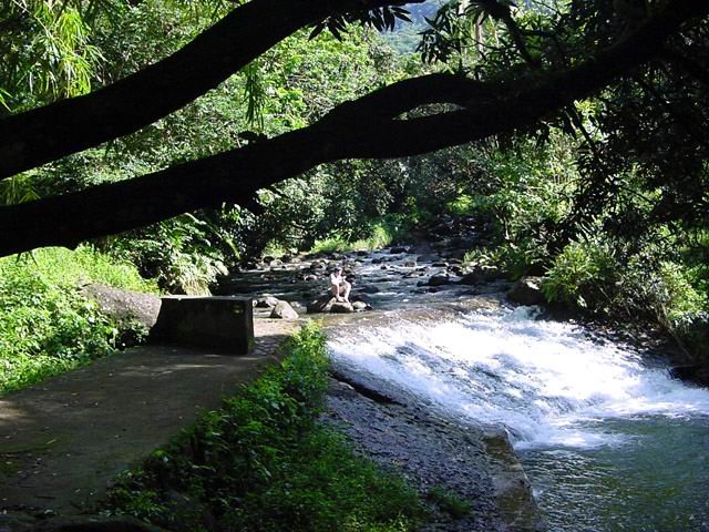 Fin du canal au deuxième captage