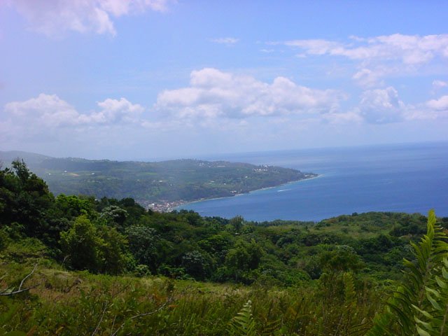 Panorama sur la Baie de Saint-Pierre