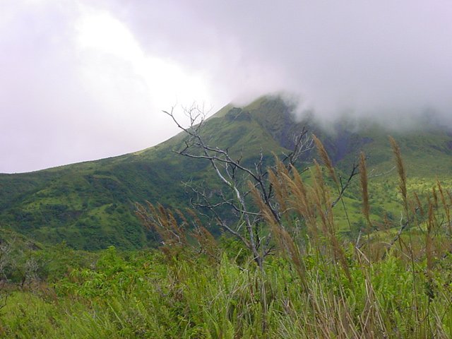 Les nuages envahissent lentement la Montagne Pelée