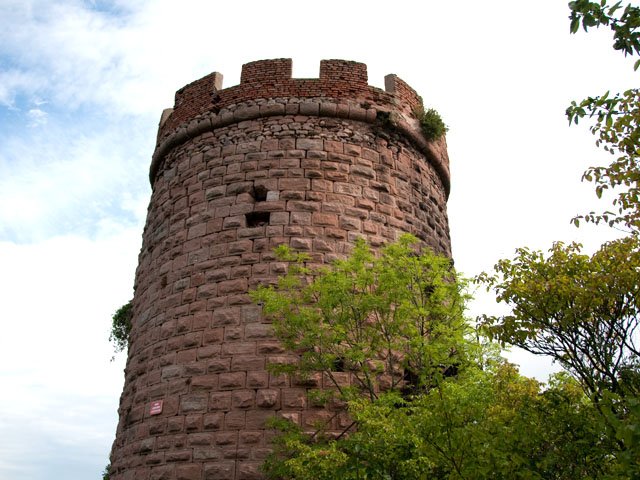 Vue d'ensemble de la tour du Haut Ribeaupierre