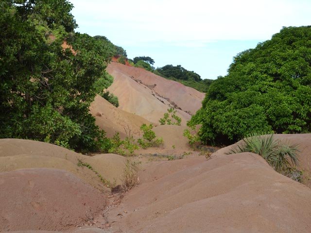 Une zone de badzas à traverser au pied du Saziley Bé