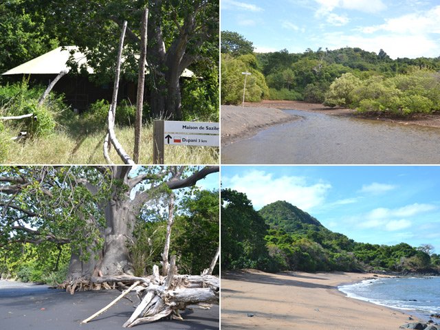 L'arrivée à la plage près de la maison de Saziley. Déjà de beaux baobabs