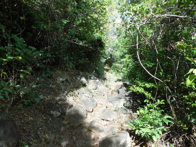 Une courte portion caillouteuse sur un sentier assez étroit