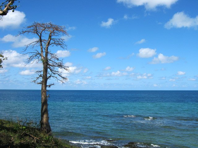 Emplacement de la reprise du GR à la fin de la plage