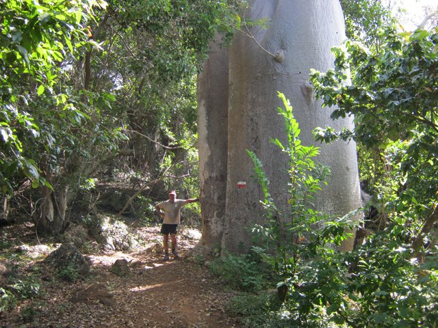 Certains sont énormes