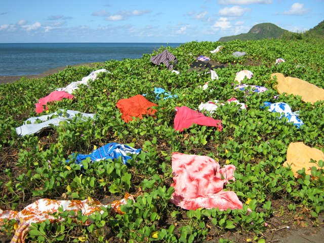 Les patates à Durand sont pratiques pour sécher le linge