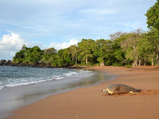 D'autres partent alors que le soleil est déjà haut