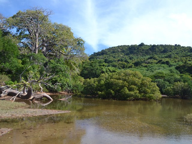La microscopique ravine dont l'estuaire donne sur la plage