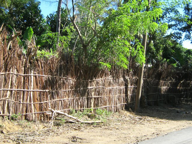Clôture classique, même en ville