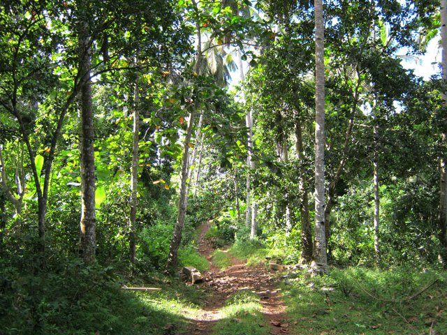 Le retour à Mtsamboro s'effectue sur de belles pistes