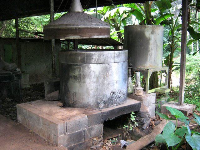 Un alambic en bordure de parcours