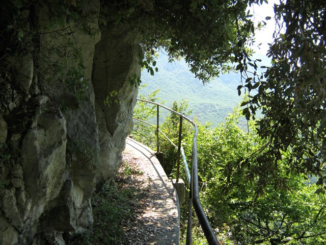 Les branches diminuent la notion de vide et de vertige