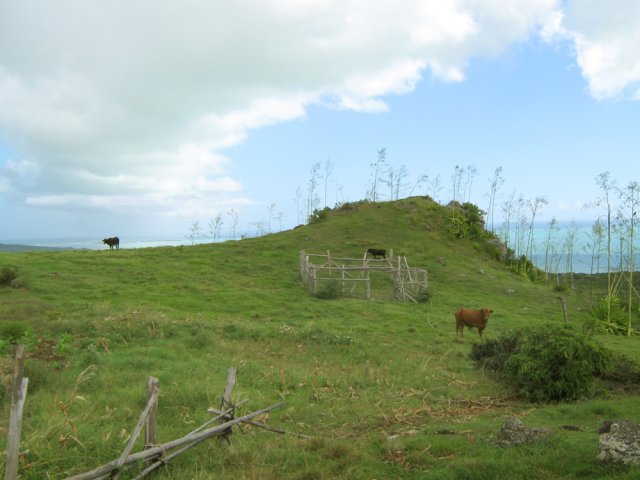 Prairies plus importantes