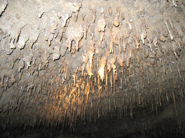 Des plus fines encore au plafond