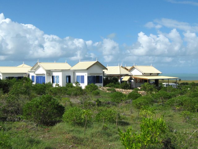 Les plantations vont jusqu'aux bâtiments