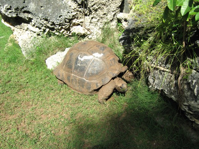 Celle-ci cherche plutôt à se reposer