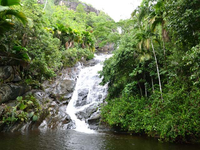 La cascade très fréquentée dévale une cinquantaine de mètres depuis la forêt
