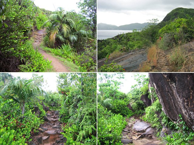Quelques portions du sentier de l'Anse Major
