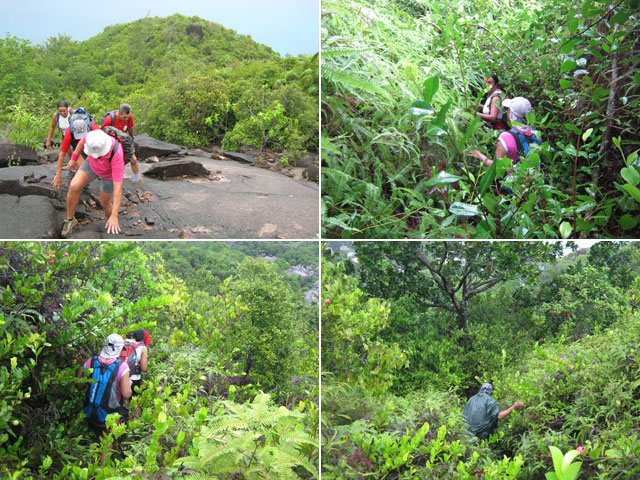 Quelques portions dans la brousse ou sur les rochers glissants