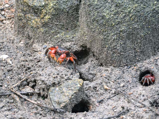 Quelques habitants des lieux