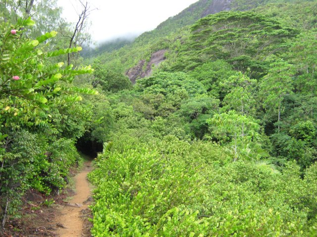 Le parcours s'enfonce parfois dans la végétation