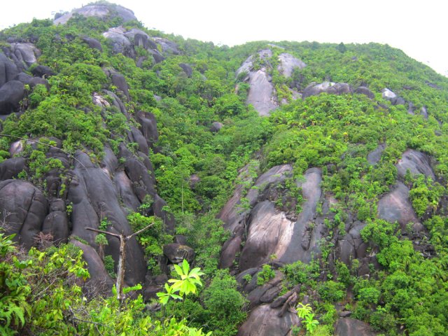 Toute la montagne est granitique