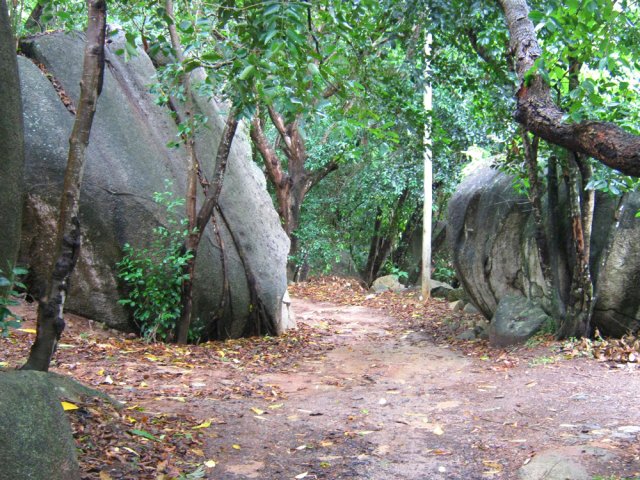 Sentier large et plat entre roches et arbres