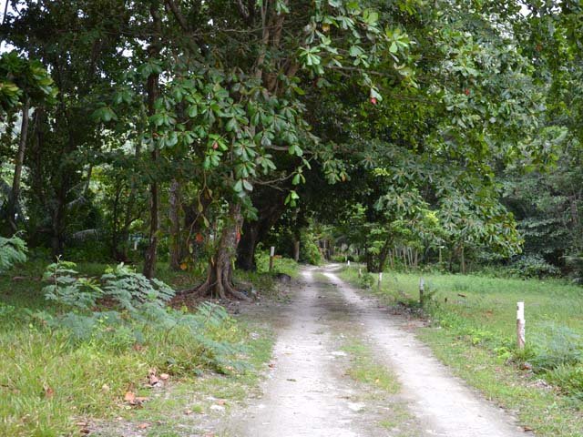 La piste au départ de la route