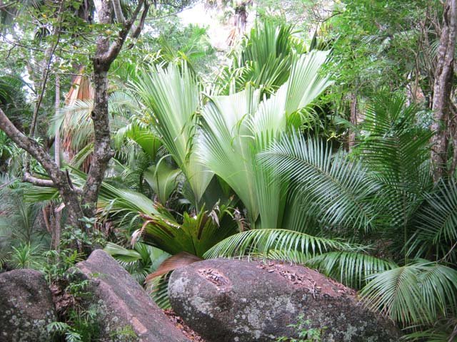 Paysage classique de Fond Ferdinand