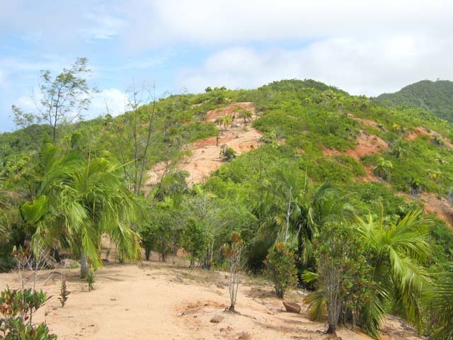 Peu de granite et de plantes au sommet surchauffé