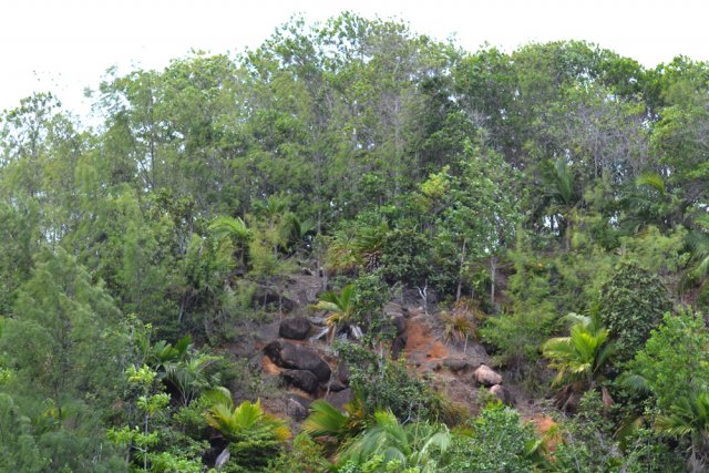 Une idée du terrain de la région